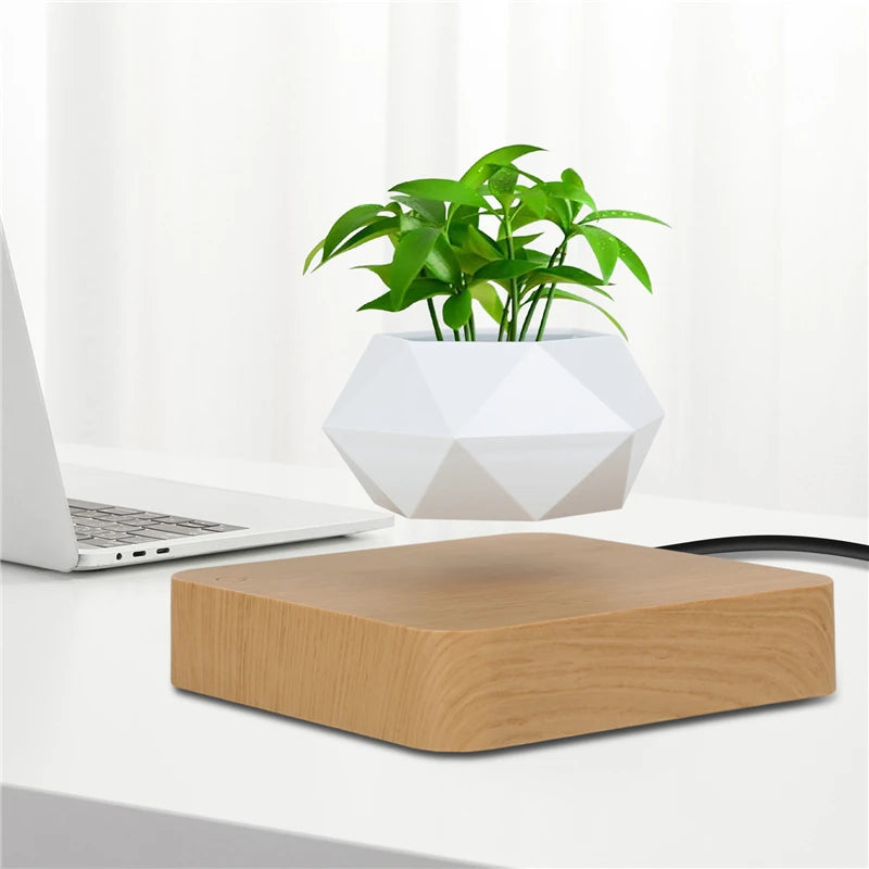 Magic Float Bonsai Planter
