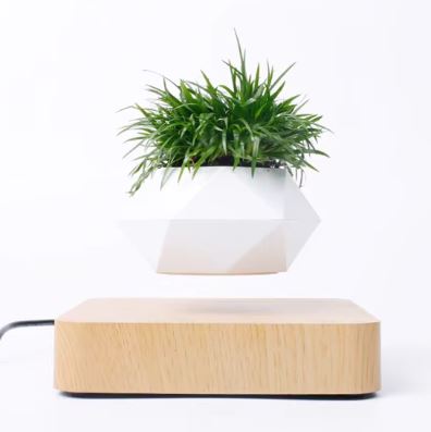 Magic Float Bonsai Planter