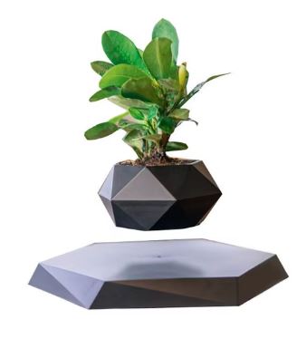Magic Float Bonsai Planter