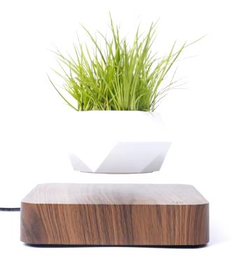 Magic Float Bonsai Planter