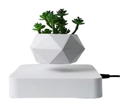 Magic Float Bonsai Planter
