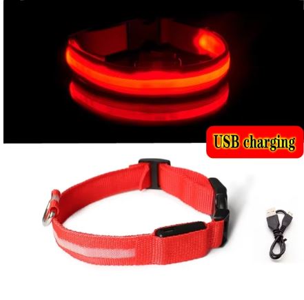 GlowSafe LED Dog Collar