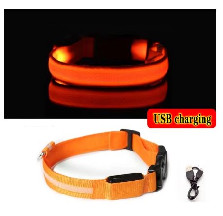 GlowSafe LED Dog Collar