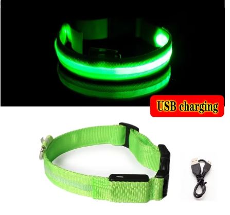 GlowSafe LED Dog Collar