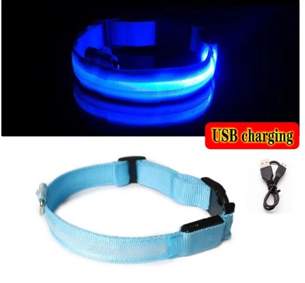 GlowSafe LED Dog Collar