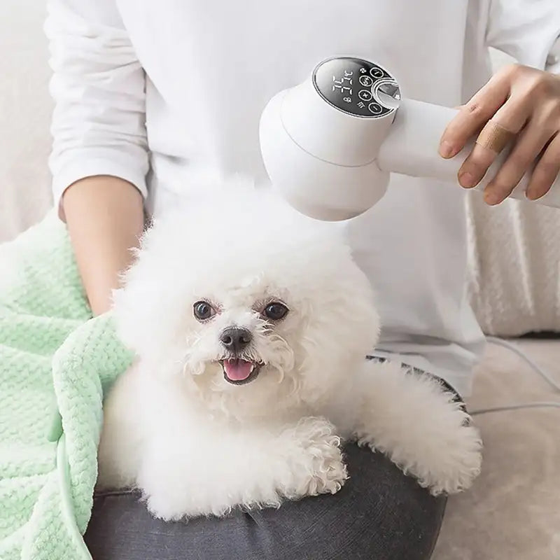 Pet Hair Dryer with Slicker Brush