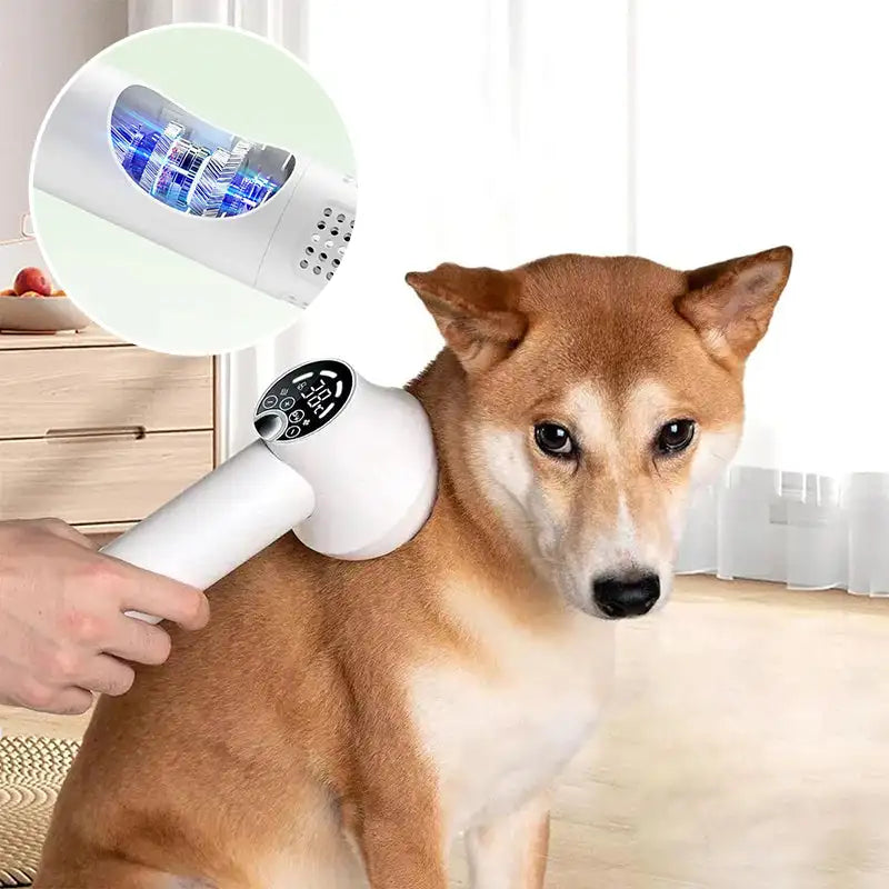 Pet Hair Dryer with Slicker Brush