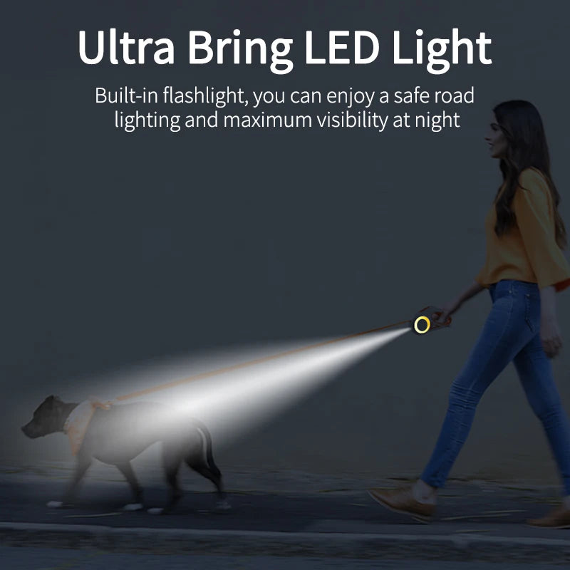 LED Light Pet Leash Safety System