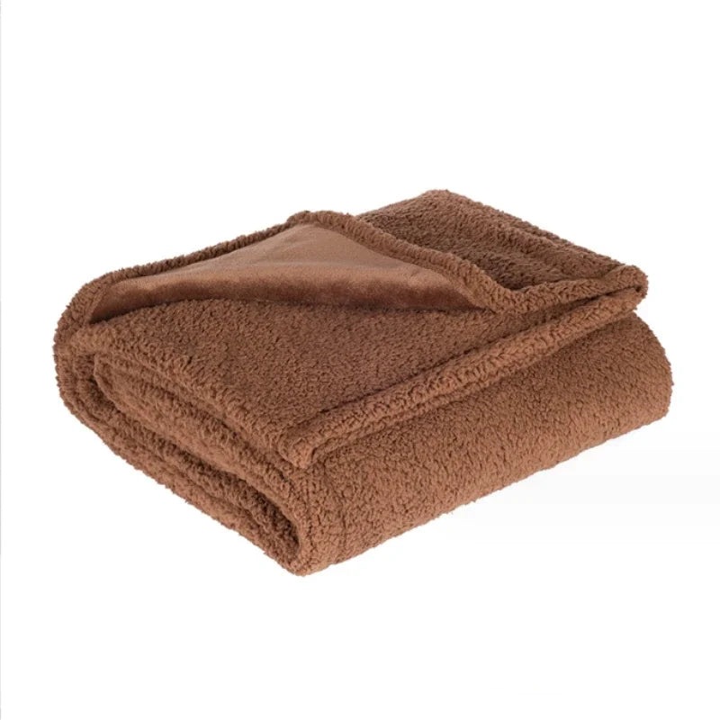 DreamCozy Waterproof Shaggy Blanket