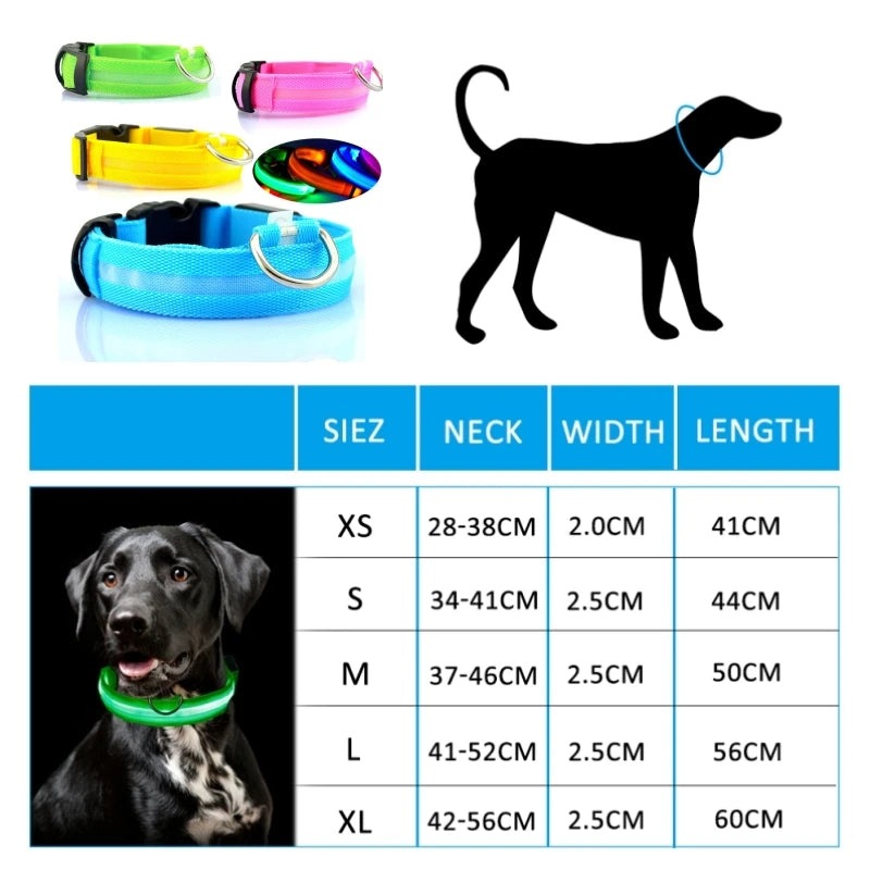 GlowSafe LED Dog Collar