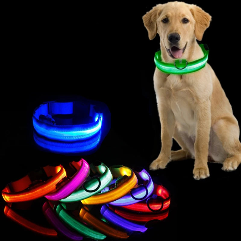 GlowSafe LED Dog Collar