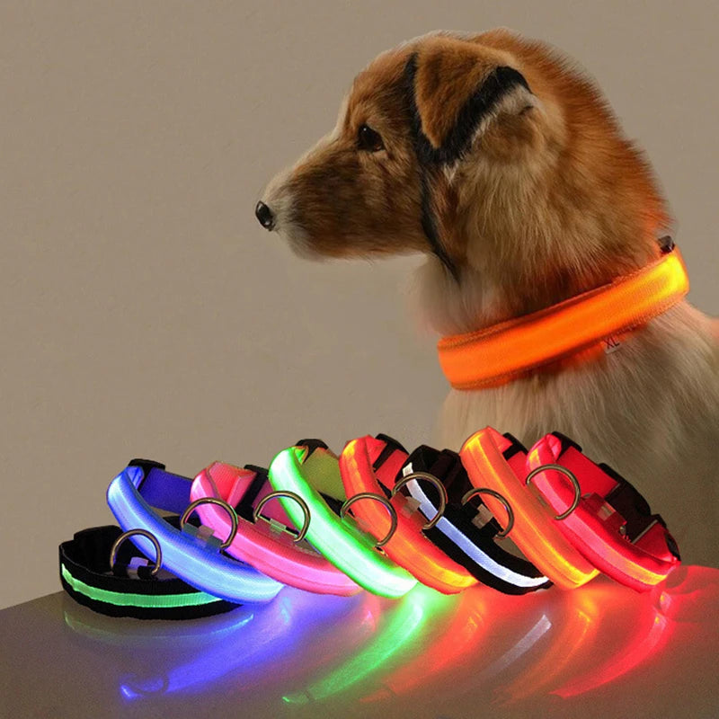 GlowSafe LED Dog Collar