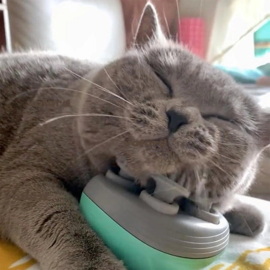 Purrfect Paws Electric Massager