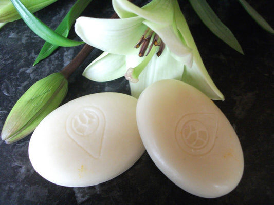 Solid Hair Conditioner Bar